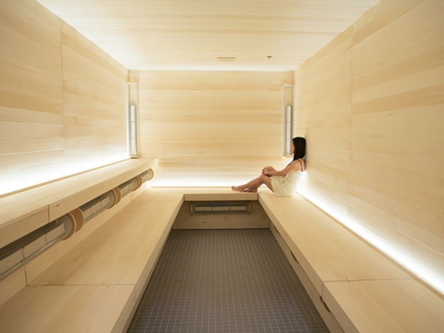 commercial sauna for sale